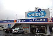 【ドラッグストア】ウエルシア小山天神店まで2428ｍ