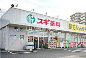 【ドラッグストア】ドラッグスギ 新白岡店まで2387ｍ