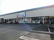 【ドラッグストア】カワチ薬品 今泉店まで1018ｍ