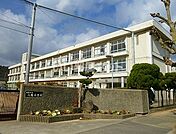 【小学校】八幡小学校まで1111ｍ
