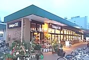 【スーパー】Odakyu OX(オダキュウ オーエックス) 小田原店まで517ｍ