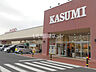 周辺：【スーパー】KASUMI(カスミ) 万博記念公園駅前店まで970ｍ