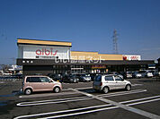 【スーパー】albis(アルビス) 野村店まで555ｍ