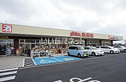 【スーパー】おっ母さん食品館柏の葉キャンパス店まで236ｍ