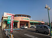 【スーパー】平和堂扶桑店まで502ｍ