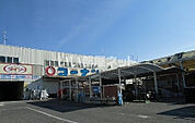 【ホームセンター】コーナンPRO 松原市役所前店まで1746ｍ