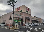 【スーパー】ハローズ 十日市店まで506ｍ