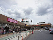 【スーパー】コモディイイダ野田店まで1531ｍ