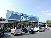 【ホームセンター】ホームプラザナフコ上津役店まで1385ｍ