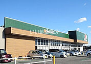 【スーパー】Joy Foods(ジョイフーズ) 関宿次木店まで4775ｍ