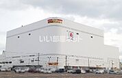 【スーパー】ＭＥＧＡドン・キホーテ苫小牧店まで1176ｍ