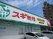 【ドラッグストア】スギ薬局　渋川店様まで287ｍ