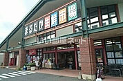 【スーパー】まるたか生鮮市場もみじが丘店まで481ｍ