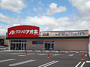 【ドラッグストア】クスリのアオキ江場店まで1168ｍ