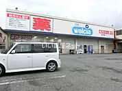 【ドラッグストア】ウエルシア清水下野店まで762ｍ