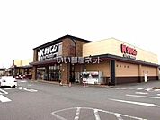 【スーパー】かましん平松本町店まで1579ｍ