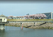 【公園】狭山池公園まで994ｍ