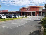 【スーパー】ザ・ビッグエクストラ津河芸店まで925ｍ