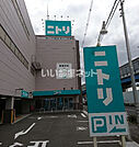 【生活雑貨店】ニトリ寝屋川店まで352ｍ