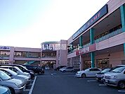 【ショッピングセンター】フレスポ静岡まで1242ｍ