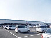 【ドラッグストア】カワチ薬品 富田店まで278ｍ
