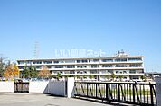 【小学校】取手市立藤代小学校まで1325ｍ