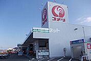 【ホームセンター】コメリハード&グリーン高橋店まで2418ｍ