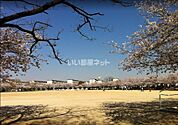 【公園】白鷺公園まで1151ｍ