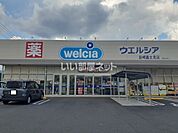【ドラッグストア】ウエルシア韮崎富士見店まで2217ｍ