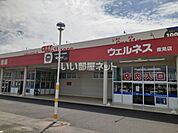 【ドラッグストア】ウェルネスまで1628ｍ