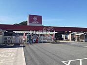 【ホームセンター】ジュンテンドー久米店まで2423ｍ