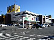 【ショッピングセンター】アピタ島田店まで1148ｍ