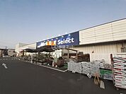 【ディスカウントショップ】ミスターマックス Select野芥店まで1516ｍ