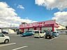 周辺：【ドラッグストア】コスモス　島崎店まで358ｍ