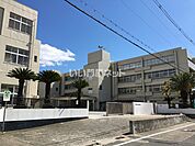 【中学校】八尾市立上之島中学校まで544ｍ