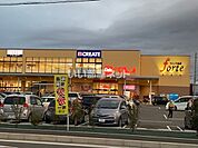【ショッピングセンター】ベルク フォルテ秦野店まで1206ｍ