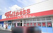 【ドラッグストア】ドラッグストアウェルネス 春日店まで750ｍ