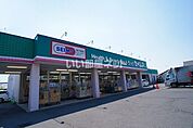 【ドラッグストア】ドラッグセイムス元総社店まで1623ｍ