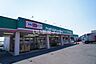 周辺：【ドラッグストア】ドラッグセイムス元総社店まで262ｍ