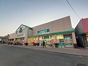 【スーパー】サニー姪浜店まで406ｍ