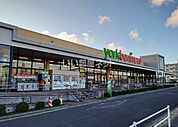 【スーパー】ヨークベニマル 東大島店まで474ｍ