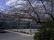 【小学校】下関市立向山小学校まで800ｍ