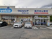 【ドラッグストア】ウエルシア四街道めいわ店まで981ｍ