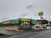 【スーパー】産直市場よってって阪南店まで569ｍ