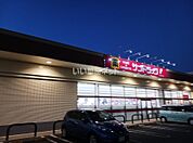 【ドラッグストア】サンドラッグ所沢花園店まで1081ｍ