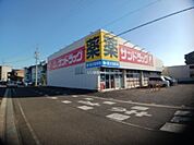 【ドラッグストア】サンドラッグ上重原店まで1668ｍ