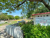 【公園】南台公園まで893ｍ
