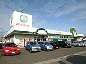 【スーパー】新鮮市場 大在店まで801ｍ