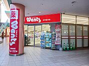 【ドラッグストア】ウォンツ 府中高木店まで234ｍ