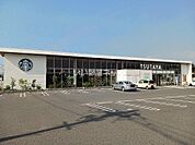 【レンタルビデオ】ＴＳＵＴＡＹＡ新涯店まで1317ｍ